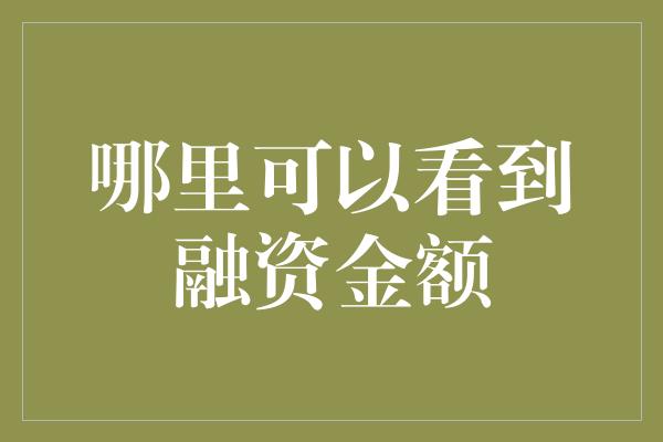 哪里可以看到融资金额