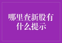 零门槛新股投资：如何高效查询与风险提示