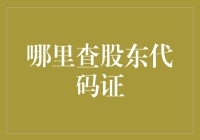 如何高效查询股东代码证：一站式解决方案