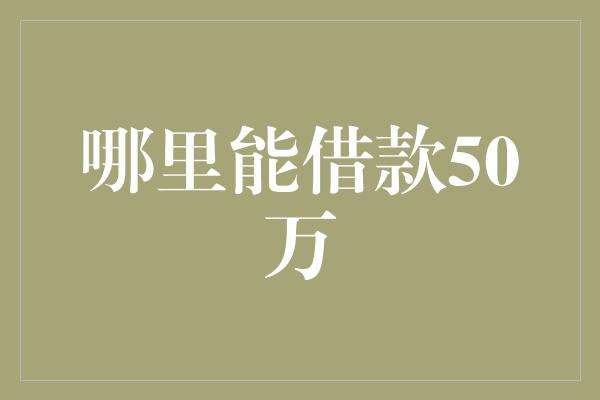 哪里能借款50万