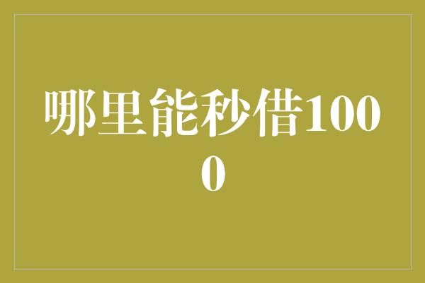 哪里能秒借1000