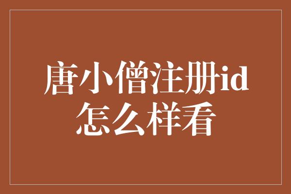 唐小僧注册id怎么样看