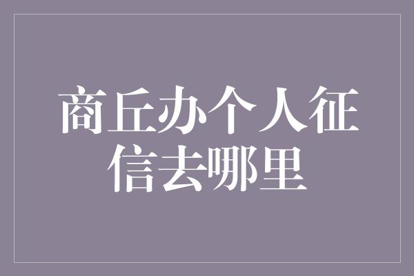 商丘办个人征信去哪里