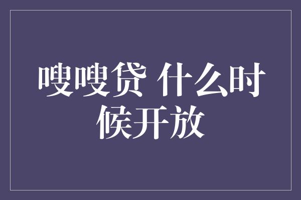 嗖嗖贷 什么时候开放