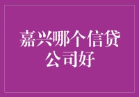 嘉兴市信贷公司的全面考察与深度分析