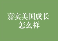 嘉实美国成长 怎么样？