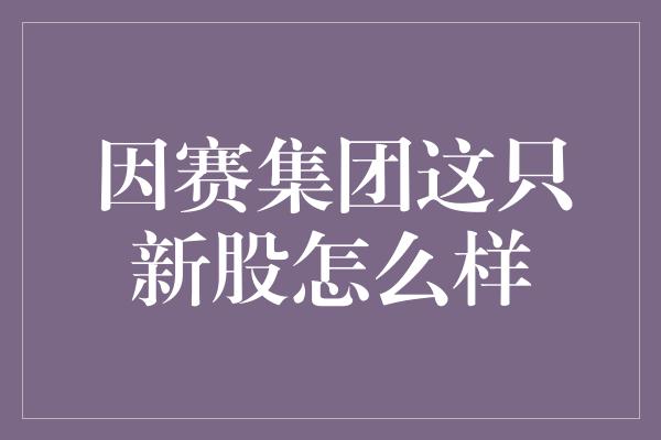 因赛集团这只新股怎么样