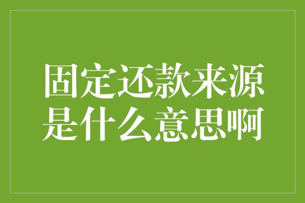 固定还款来源是什么意思啊