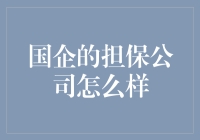 国企担保公司：信任与责任的桥梁