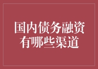 国内债务融资渠道：寻找投资者的化缘艺术