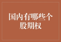 国内个股期权市场探析：投资者的崭新机遇