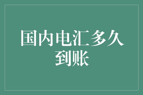 国内电汇多久到账