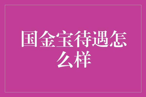 国金宝待遇怎么样