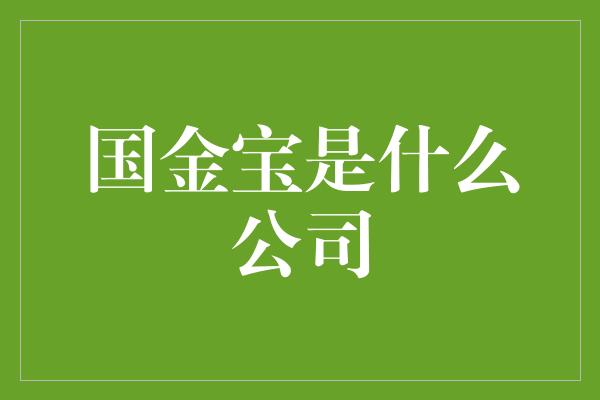 国金宝是什么公司