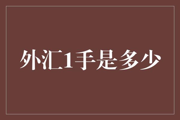 外汇1手是多少