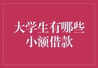 大学生小额借款的选择与风险考量