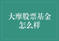 大摩股票基金：在复杂市场中的稳健选择