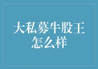 大私募牛股王：资本市场的引领者