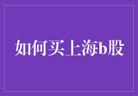 如何正确购买上海B股：策略、步骤与风险控制