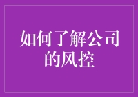 如何花式摸鱼了解公司的风控：一场非凡的冒险