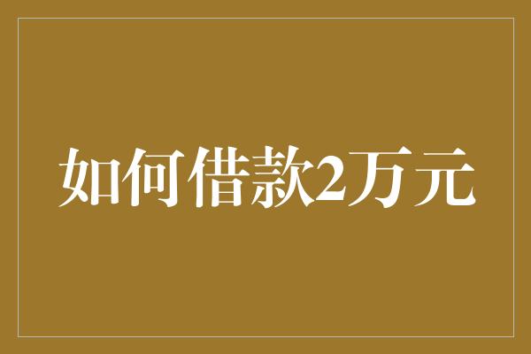 如何借款2万元