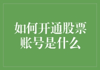 从新手到股民：开通股票账号的步骤详解