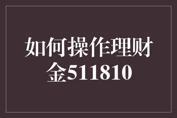 如何操作理财金511810