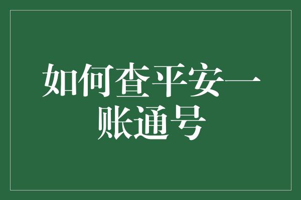 如何查平安一账通号