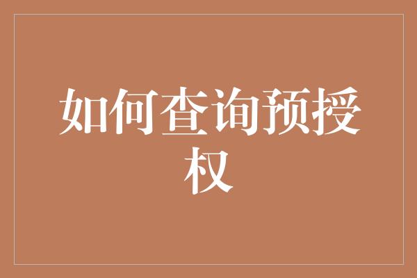 如何查询预授权