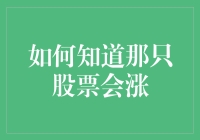 如何用股神指南针找到那只股票会涨的秘密