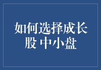 成长股？中小盘？哈哈，别逗了！