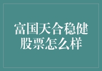 富国天合稳健股票基金评析：稳健投资策略下的稳健收益