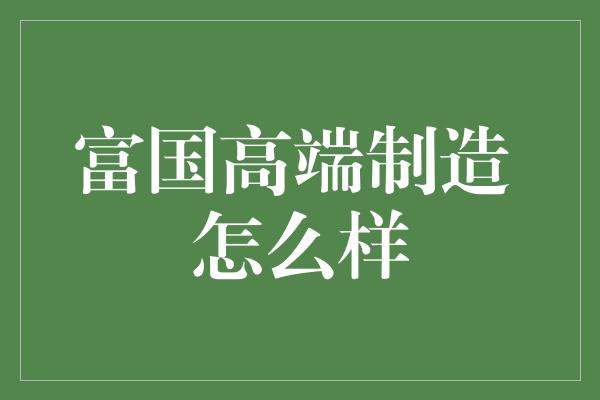 富国高端制造 怎么样