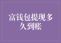 富钱包提现到账速度：解密提现背后的逻辑和困扰