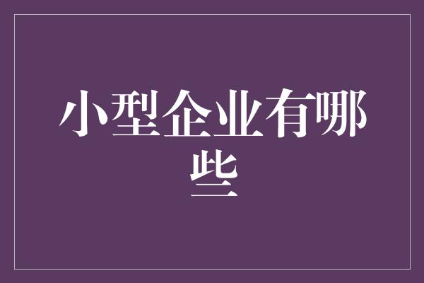 小型企业有哪些