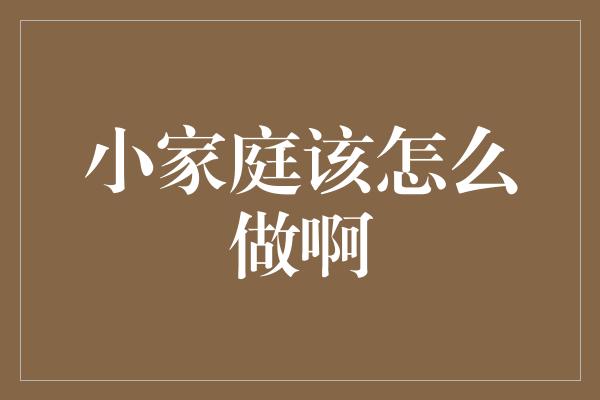 小家庭该怎么做啊