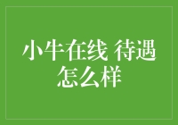 小牛在线待遇究竟如何？探究背后的真相！