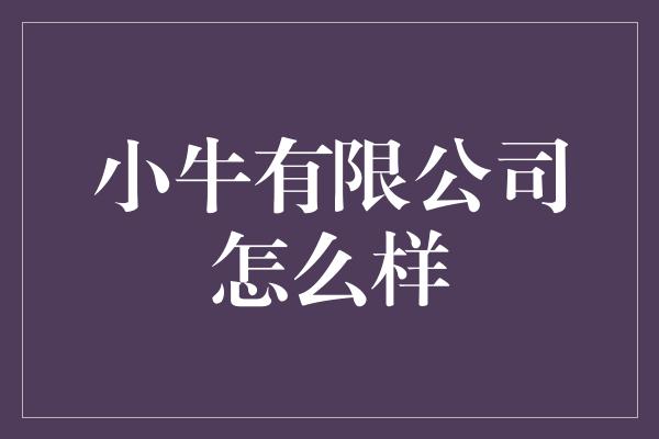 小牛有限公司怎么样