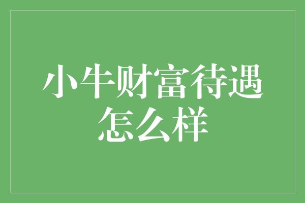 小牛财富待遇怎么样