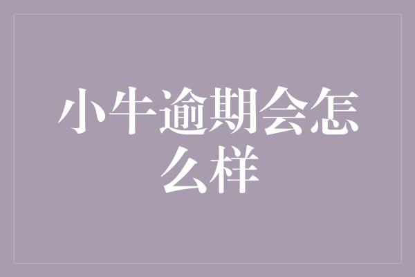 小牛逾期会怎么样