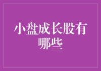 小盘成长股：投资者不容忽视的投资机会