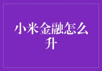 小米金融升级记：从米虫到米大咖的成长之路