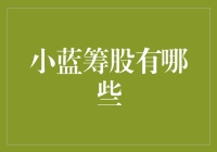 探秘小蓝筹股：在稳健与成长间找到平衡