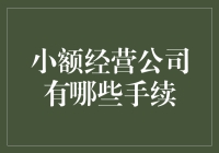 小额经营公司设立流程与手续解析