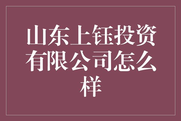 山东上钰投资有限公司怎么样