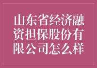 山东省经济融资担保股份有限公司：山东金融市场的稳健推手