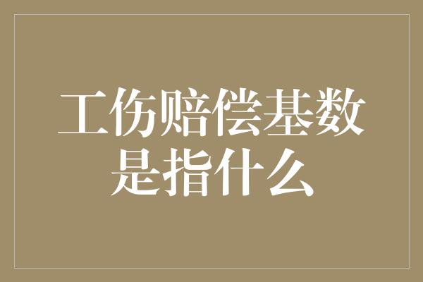 工伤赔偿基数是指什么