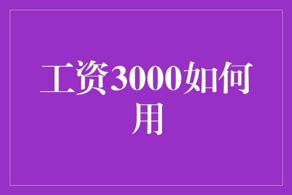 工资3000如何用