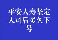 平安人寿：从入司到下号，看似一段奇妙的旅程