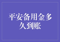 平安备用金到账速度揭秘：从申请到到账的奇妙旅程